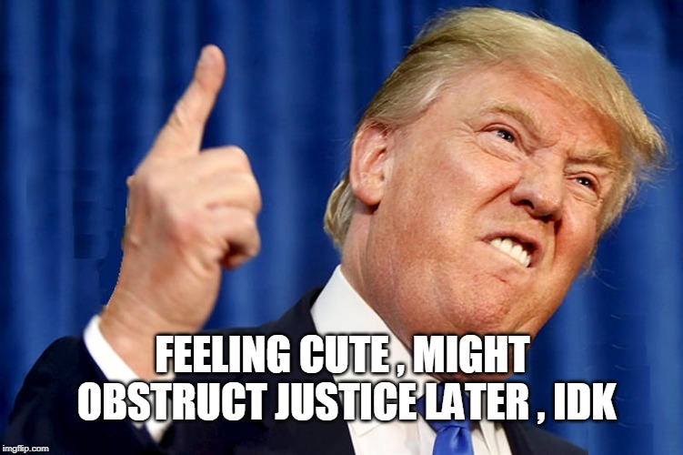 FEELING CUTE , MIGHT OBSTRUCT JUSTICE LATER , IDK | image tagged in trump | made w/ Imgflip meme maker