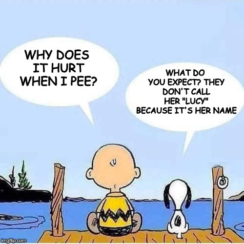 Damn that Lucy | WHAT DO YOU EXPECT? THEY DON'T CALL HER "LUCY" BECAUSE IT'S HER NAME; WHY DOES IT HURT WHEN I PEE? | image tagged in charlie brown and snoopy bonding talk | made w/ Imgflip meme maker