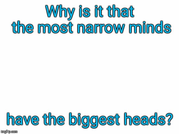 Blank White Template | Why is it that the most narrow minds; have the biggest heads? | image tagged in blank white template,memes | made w/ Imgflip meme maker