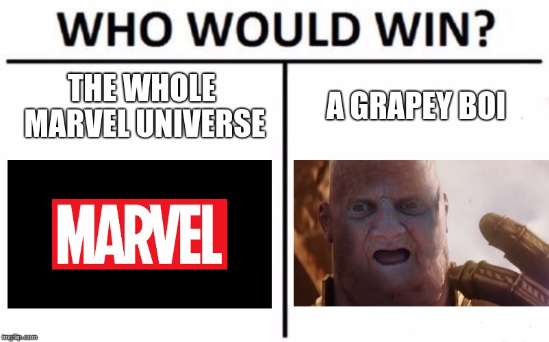 Who Would Win? Meme | THE WHOLE MARVEL UNIVERSE; A GRAPEY BOI | image tagged in memes,who would win | made w/ Imgflip meme maker