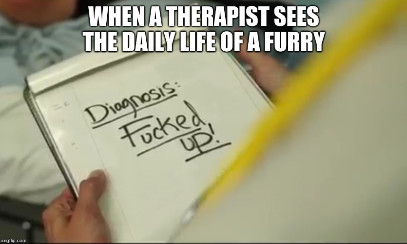 furries | WHEN A THERAPIST SEES THE DAILY LIFE OF A FURRY | image tagged in memes,furries | made w/ Imgflip meme maker