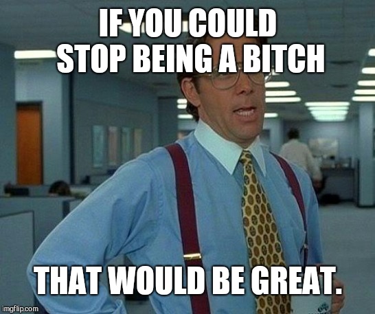 That Would Be Great Meme | IF YOU COULD STOP BEING A BITCH; THAT WOULD BE GREAT. | image tagged in memes,that would be great | made w/ Imgflip meme maker