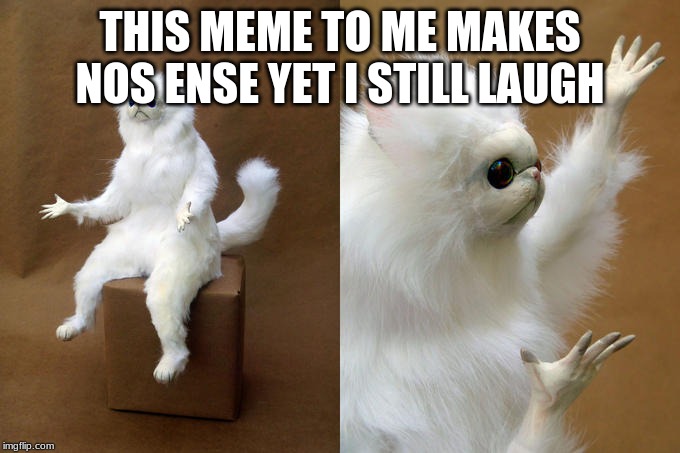 Persian Cat Room Guardian Meme | THIS MEME TO ME MAKES NOS ENSE YET I STILL LAUGH | image tagged in memes,persian cat room guardian | made w/ Imgflip meme maker