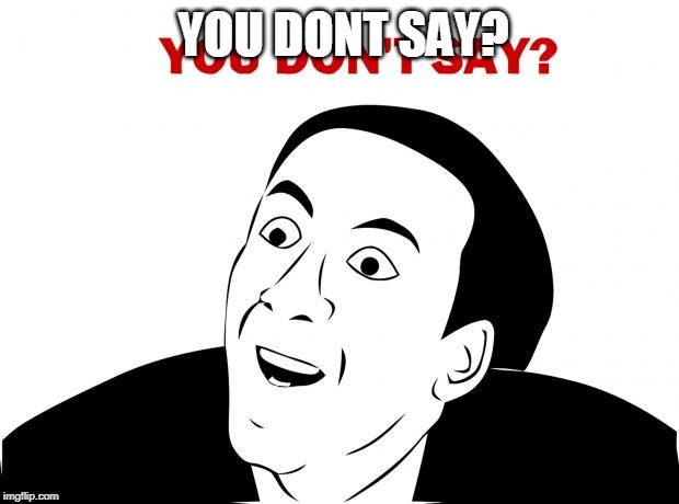 You Don't Say Meme | YOU DONT SAY? | image tagged in memes,you don't say | made w/ Imgflip meme maker