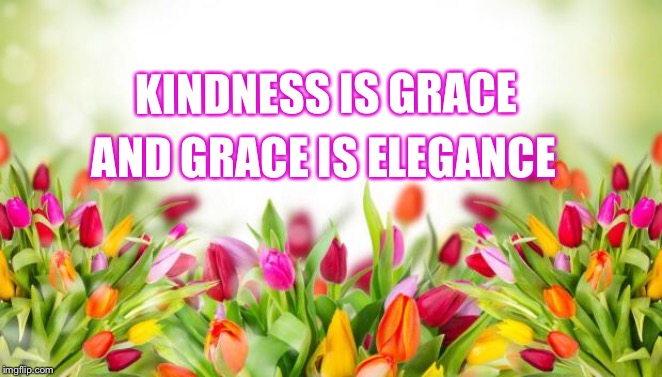 flowers | KINDNESS IS GRACE; AND GRACE IS ELEGANCE | image tagged in flowers | made w/ Imgflip meme maker