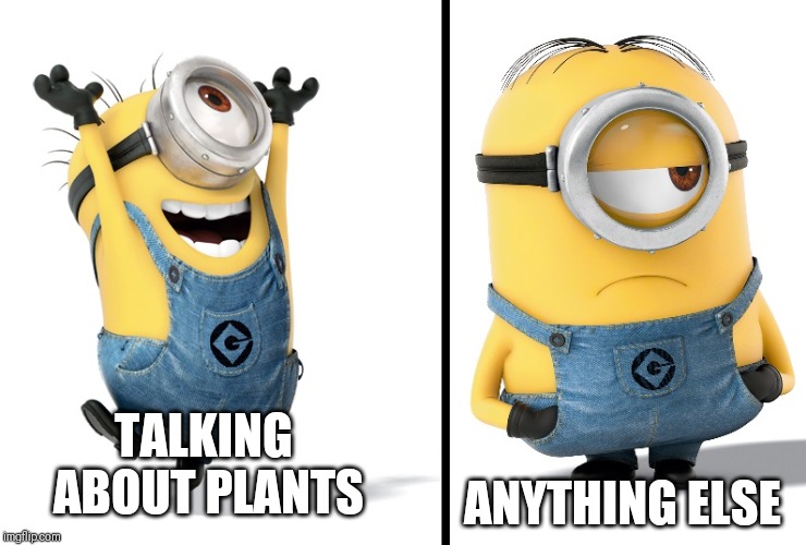 Minion Happy Sad | ANYTHING ELSE; TALKING ABOUT PLANTS | image tagged in minion happy sad | made w/ Imgflip meme maker