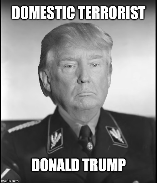 Nazi Trump | DOMESTIC TERRORIST; DONALD TRUMP | image tagged in nazi trump | made w/ Imgflip meme maker