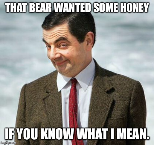 mr bean | THAT BEAR WANTED SOME HONEY IF YOU KNOW WHAT I MEAN. | image tagged in mr bean | made w/ Imgflip meme maker