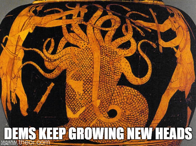 Dems Hydra | DEMS KEEP GROWING NEW HEADS | image tagged in dems,hydra,biden,new heads,hercules,iolaus | made w/ Imgflip meme maker