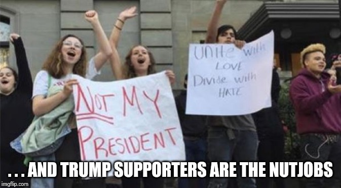 Not My President | . . . AND TRUMP SUPPORTERS ARE THE NUTJOBS | image tagged in not my president | made w/ Imgflip meme maker