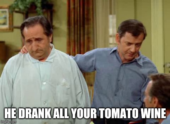 Odd Couple Felix and Murray | HE DRANK ALL YOUR TOMATO WINE | image tagged in odd couple felix and murray | made w/ Imgflip meme maker