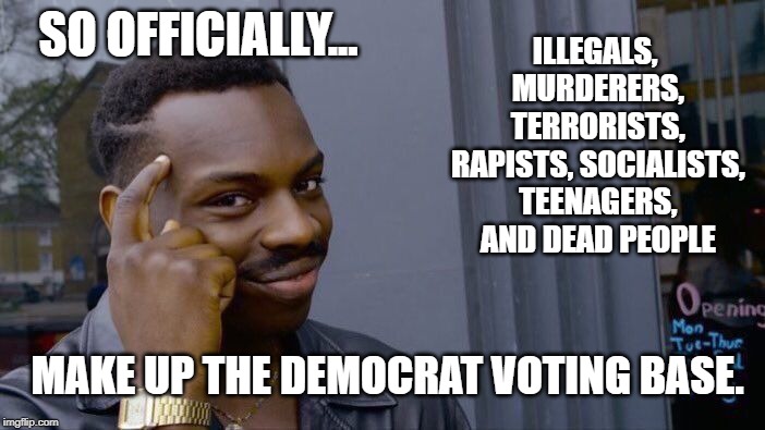 Roll Safe Think About It Meme | SO OFFICIALLY... ILLEGALS, MURDERERS, TERRORISTS, RAPISTS, SOCIALISTS, TEENAGERS, AND DEAD PEOPLE MAKE UP THE DEMOCRAT VOTING BASE. | image tagged in memes,roll safe think about it | made w/ Imgflip meme maker