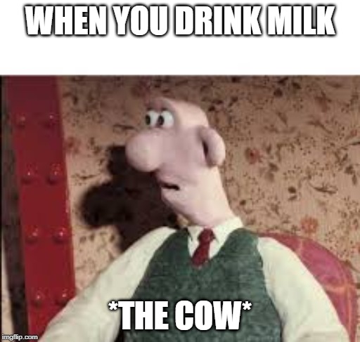 WHEN YOU DRINK MILK; *THE COW* | image tagged in surprised boy,memes,funny memes,funny meme,original meme,mad cow | made w/ Imgflip meme maker