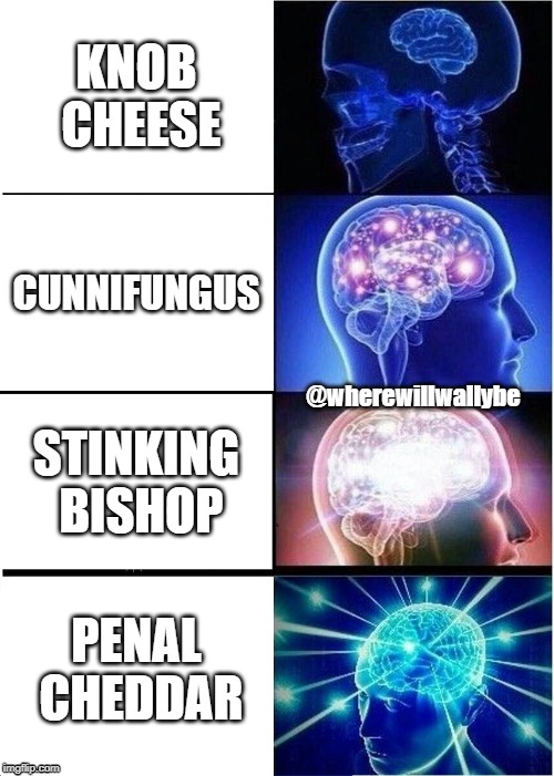 Expanding Brain | KNOB CHEESE; CUNNIFUNGUS; @wherewillwallybe; STINKING BISHOP; PENAL CHEDDAR | image tagged in memes,expanding brain | made w/ Imgflip meme maker