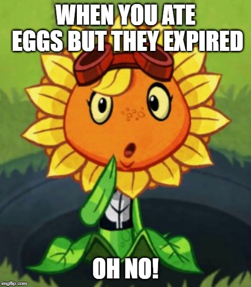Confusion Solar Flare 2 | WHEN YOU ATE EGGS BUT THEY EXPIRED; OH NO! | image tagged in confusion solar flare | made w/ Imgflip meme maker