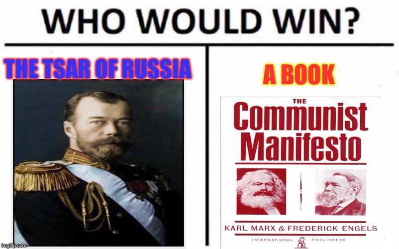 Who Would Win? | THE TSAR OF RUSSIA; A BOOK | image tagged in memes,who would win | made w/ Imgflip meme maker
