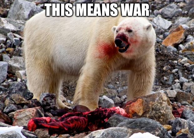 polar bear | THIS MEANS WAR | image tagged in polar bear | made w/ Imgflip meme maker