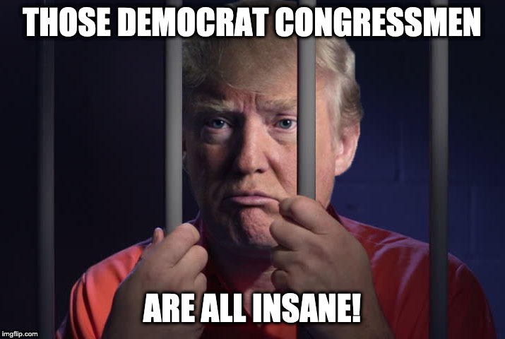 Trump Behind Bars | THOSE DEMOCRAT CONGRESSMEN; ARE ALL INSANE! | image tagged in trump behind bars | made w/ Imgflip meme maker