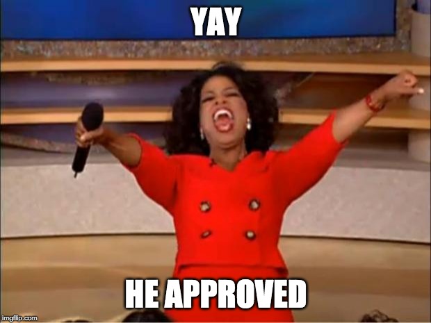 Oprah You Get A Meme | YAY HE APPROVED | image tagged in memes,oprah you get a | made w/ Imgflip meme maker