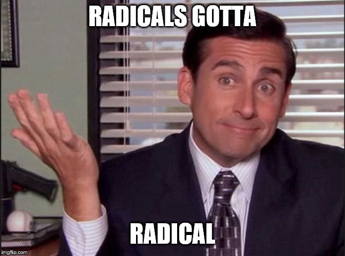 Michael Scott | RADICALS GOTTA RADICAL | image tagged in michael scott | made w/ Imgflip meme maker