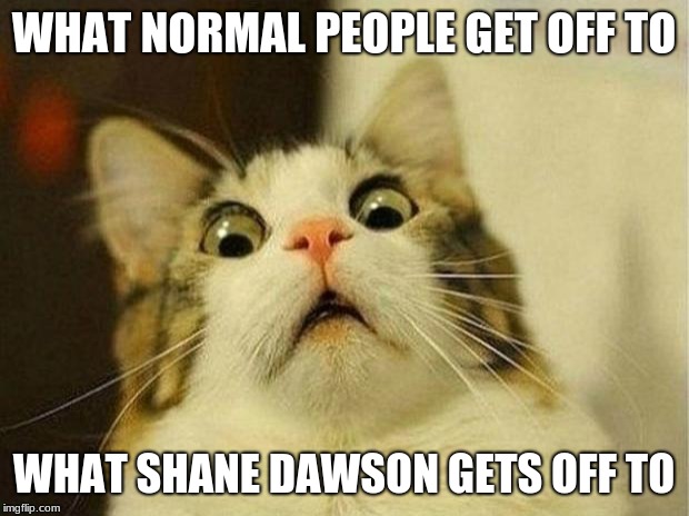 Scared Cat | WHAT NORMAL PEOPLE GET OFF TO; WHAT SHANE DAWSON GETS OFF TO | image tagged in memes,scared cat | made w/ Imgflip meme maker