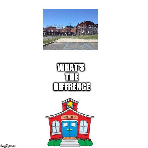 what school is like | WHAT'S THE DIFFRENCE | image tagged in school meme,funny memes,real life meme | made w/ Imgflip meme maker