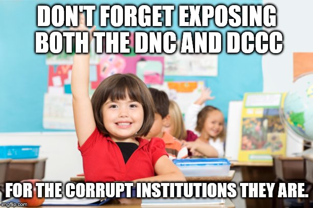 student raise hand | DON'T FORGET EXPOSING BOTH THE DNC AND DCCC FOR THE CORRUPT INSTITUTIONS THEY ARE. | image tagged in student raise hand | made w/ Imgflip meme maker