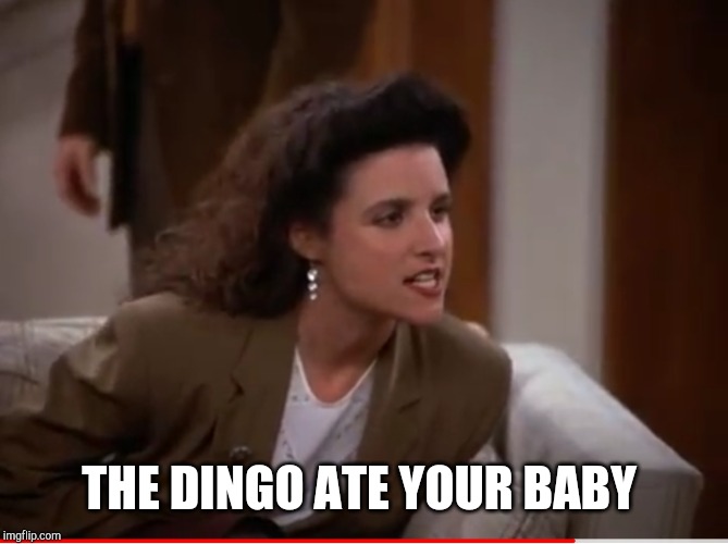 THE DINGO ATE YOUR BABY | made w/ Imgflip meme maker