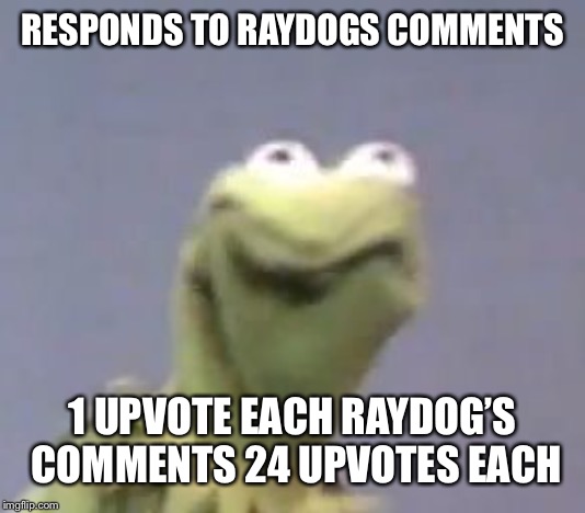 Kermit the frog | RESPONDS TO RAYDOGS COMMENTS; 1 UPVOTE EACH RAYDOG’S 
COMMENTS 24 UPVOTES EACH | image tagged in kermit the frog,meanwhile on imgflip,raydog,comments,memes,so true | made w/ Imgflip meme maker