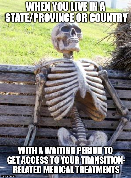 Waiting Skeleton | WHEN YOU LIVE IN A STATE/PROVINCE OR COUNTRY; WITH A WAITING PERIOD TO GET ACCESS TO YOUR TRANSITION- RELATED MEDICAL TREATMENTS | image tagged in memes,waiting skeleton | made w/ Imgflip meme maker