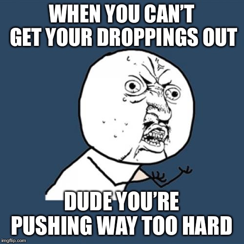 Y U No Meme | WHEN YOU CAN’T GET YOUR DROPPINGS OUT; DUDE YOU’RE PUSHING WAY TOO HARD | image tagged in memes,y u no | made w/ Imgflip meme maker