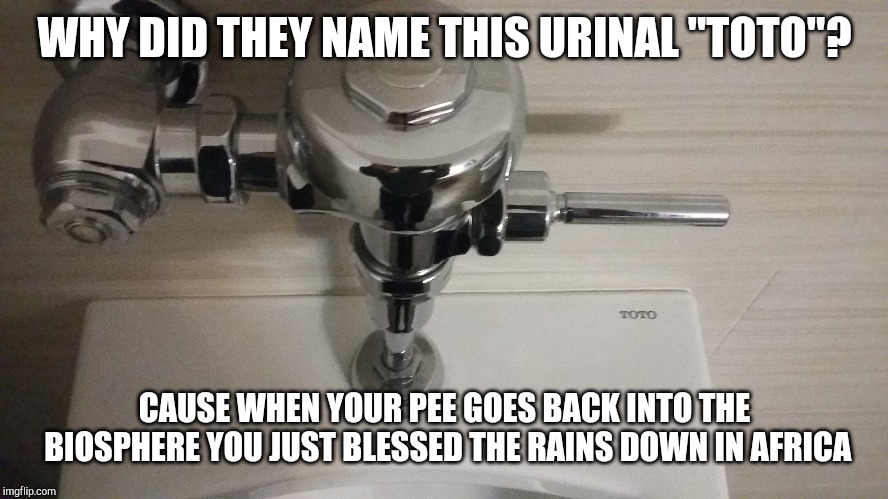 I bless the rains down in africa... Gonna squirt out every drop I have | WHY DID THEY NAME THIS URINAL "TOTO"? CAUSE WHEN YOUR PEE GOES BACK INTO THE BIOSPHERE YOU JUST BLESSED THE RAINS DOWN IN AFRICA | image tagged in toto,africa,pee,urinal | made w/ Imgflip meme maker