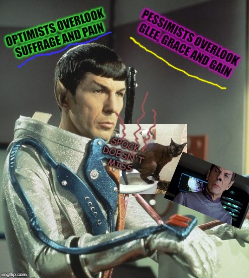 Spock Signing On Humbly Asking You Trek Yourselves | image tagged in spock signing on humbly asking you trek yourselves | made w/ Imgflip meme maker