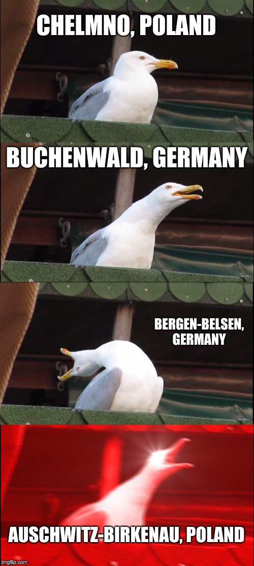 Inhaling Seagull | CHELMNO, POLAND; BUCHENWALD, GERMANY; BERGEN-BELSEN, GERMANY; AUSCHWITZ-BIRKENAU, POLAND | image tagged in memes,inhaling seagull | made w/ Imgflip meme maker