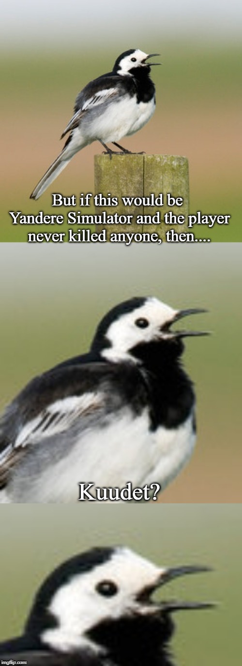 Bad Pun Flashtail | But if this would be Yandere Simulator and the player never killed anyone, then.... Kuudet? | image tagged in bad pun flashtail | made w/ Imgflip meme maker