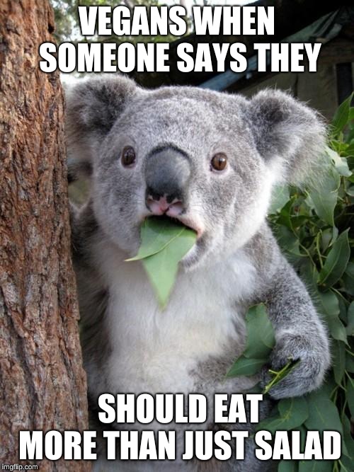 Vegans miss out on a lot in life, I'm a meat lover ;) Sub to my YouTube, it would make my day, it's called Sypheck. | VEGANS WHEN SOMEONE SAYS THEY; SHOULD EAT MORE THAN JUST SALAD | image tagged in memes,surprised koala,vegan,vegan logic,vegan memes | made w/ Imgflip meme maker