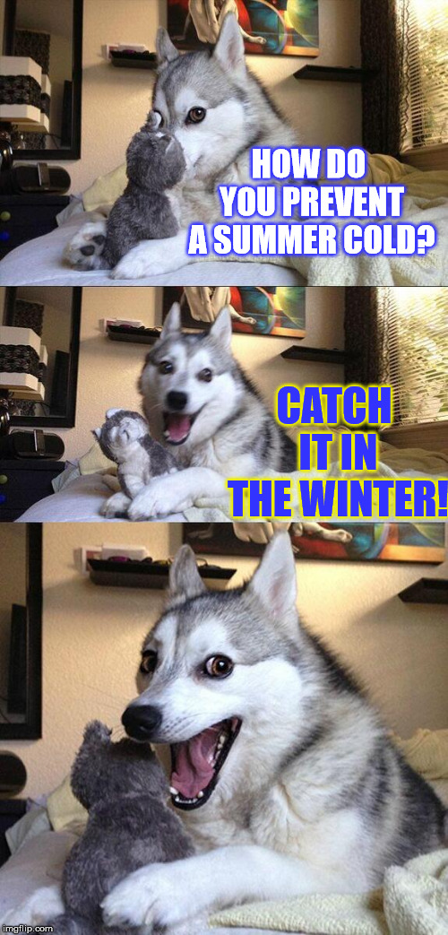 Bad Pun Doctor Dog | HOW DO YOU PREVENT A SUMMER COLD? CATCH IT IN THE WINTER! | image tagged in memes,bad pun dog,funny,weather,cold,doctor | made w/ Imgflip meme maker