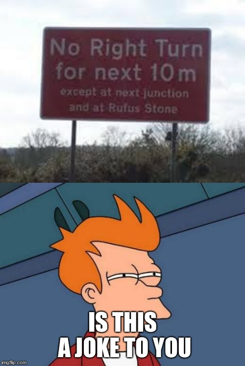 Should I take the left then | IS THIS A JOKE TO YOU | image tagged in memes,futurama fry | made w/ Imgflip meme maker