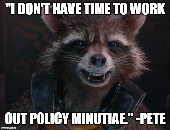 Rocket Raccoon | "I DON'T HAVE TIME TO WORK; OUT POLICY MINUTIAE." -PETE | image tagged in rocket raccoon | made w/ Imgflip meme maker