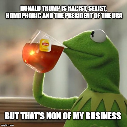 But That's None Of My Business | DONALD TRUMP IS RACIST, SEXIST, HOMOPHOBIC AND THE PRESIDENT OF THE USA; BUT THAT'S NON OF MY BUSINESS | image tagged in memes,but thats none of my business,kermit the frog,donald trump,president trump | made w/ Imgflip meme maker