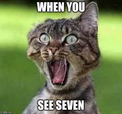 scared cat | WHEN YOU; SEE SEVEN | image tagged in scared cat | made w/ Imgflip meme maker
