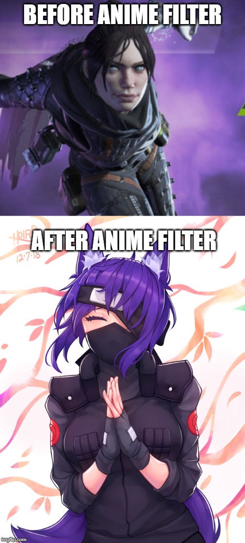 BEFORE ANIME FILTER; AFTER ANIME FILTER | image tagged in anime,apex | made w/ Imgflip meme maker
