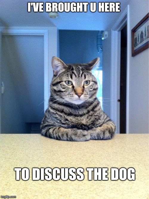 Sorry, I'm a dog person. Check out my YouTube, it's called Sypheck. | I'VE BROUGHT U HERE; TO DISCUSS THE DOG | image tagged in memes,take a seat cat,dog vs cat,dog vs cat meme,dogs vs cats | made w/ Imgflip meme maker
