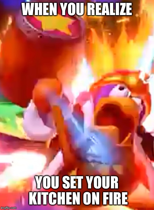 I accidentally turned the stove on too long... | WHEN YOU REALIZE; YOU SET YOUR KITCHEN ON FIRE | image tagged in king dedede,on fire,kitchen nightmares | made w/ Imgflip meme maker