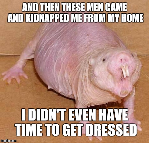 naked mole rat | AND THEN THESE MEN CAME AND KIDNAPPED ME FROM MY HOME I DIDN'T EVEN HAVE TIME TO GET DRESSED | image tagged in naked mole rat | made w/ Imgflip meme maker