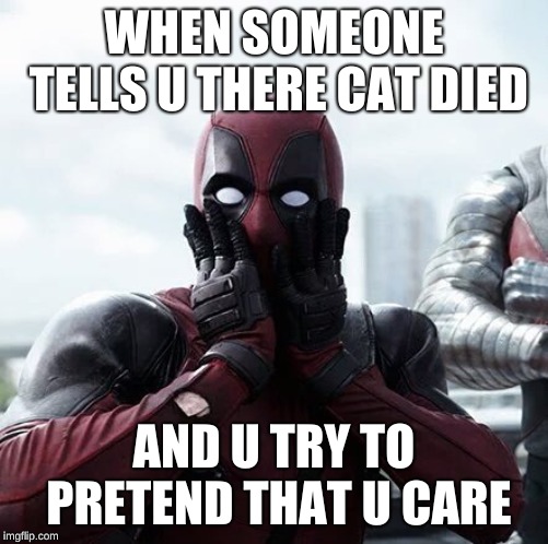 This is funny to me cause I'm a dog person. Plz sub to my YouTube it's called Sypheck :) | WHEN SOMEONE TELLS U THERE CAT DIED; AND U TRY TO PRETEND THAT U CARE | image tagged in memes,deadpool surprised,dos vs cats,dog vs cat | made w/ Imgflip meme maker