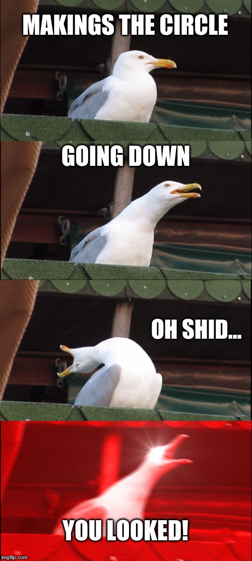 Inhaling Seagull Meme | MAKINGS THE CIRCLE; GOING DOWN; OH SHID... YOU LOOKED! | image tagged in memes,inhaling seagull | made w/ Imgflip meme maker
