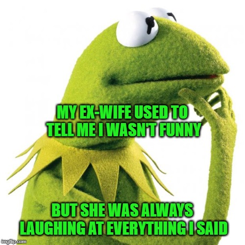 There's A Difference Between Laughing With You And Laughing At You | MY EX-WIFE USED TO TELL ME I WASN'T FUNNY; BUT SHE WAS ALWAYS LAUGHING AT EVERYTHING I SAID | image tagged in kermit thought,relationships,memes | made w/ Imgflip meme maker