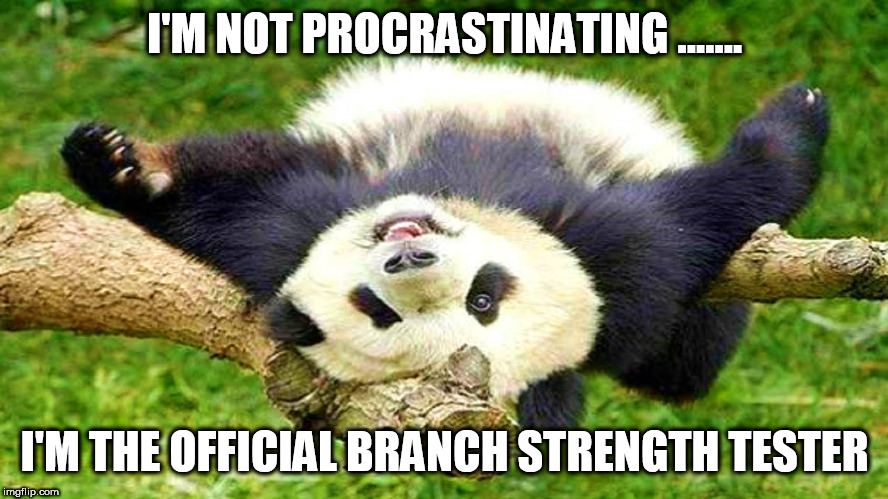 Lazy Panda | I'M NOT PROCRASTINATING ....... I'M THE OFFICIAL BRANCH STRENGTH TESTER | image tagged in lazy panda | made w/ Imgflip meme maker