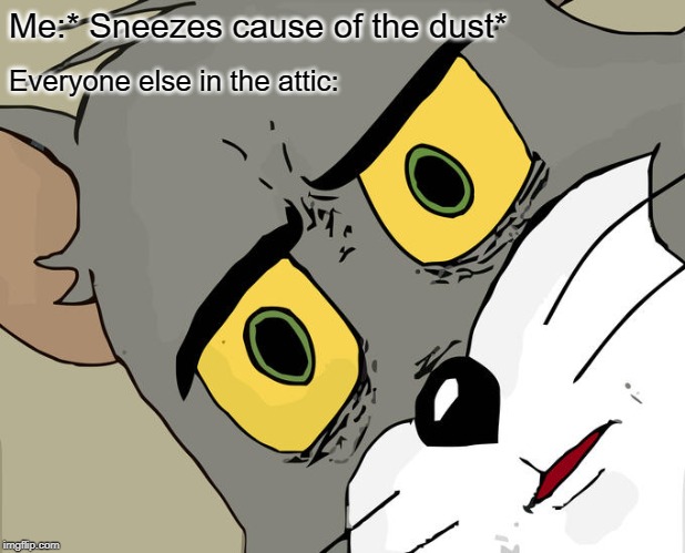 Unsettled Tom | Me:* Sneezes cause of the dust*; Everyone else in the attic: | image tagged in memes,unsettled tom | made w/ Imgflip meme maker
